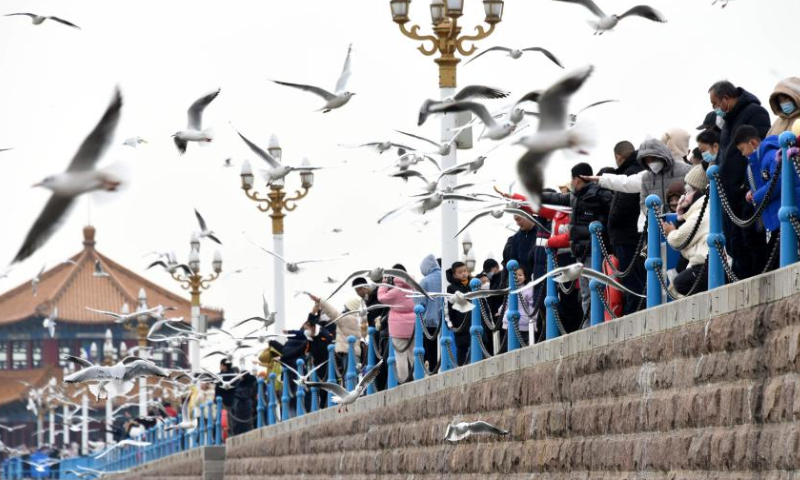Visitors interact with seagulls at the Zhanqiao bridge scenic spot in Qingdao, east China's Shandong Province, Jan. 26, 2023. Watching seagulls during Spring Festival is a tradition in Qingdao. Nowadays, with the improvement of ecological environment, the species of seagulls in Qingdao has increased to over 20 and the amount has surpassed 100, 000. Photo: Xinhua