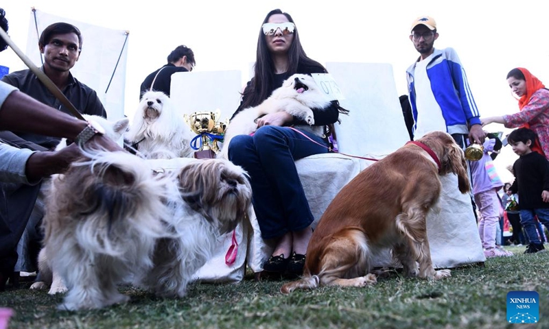 Participants are seen with their dogs during a dog show in southern Pakistani port city of Karachi on Jan. 8, 2023. Photo: Xinhua
