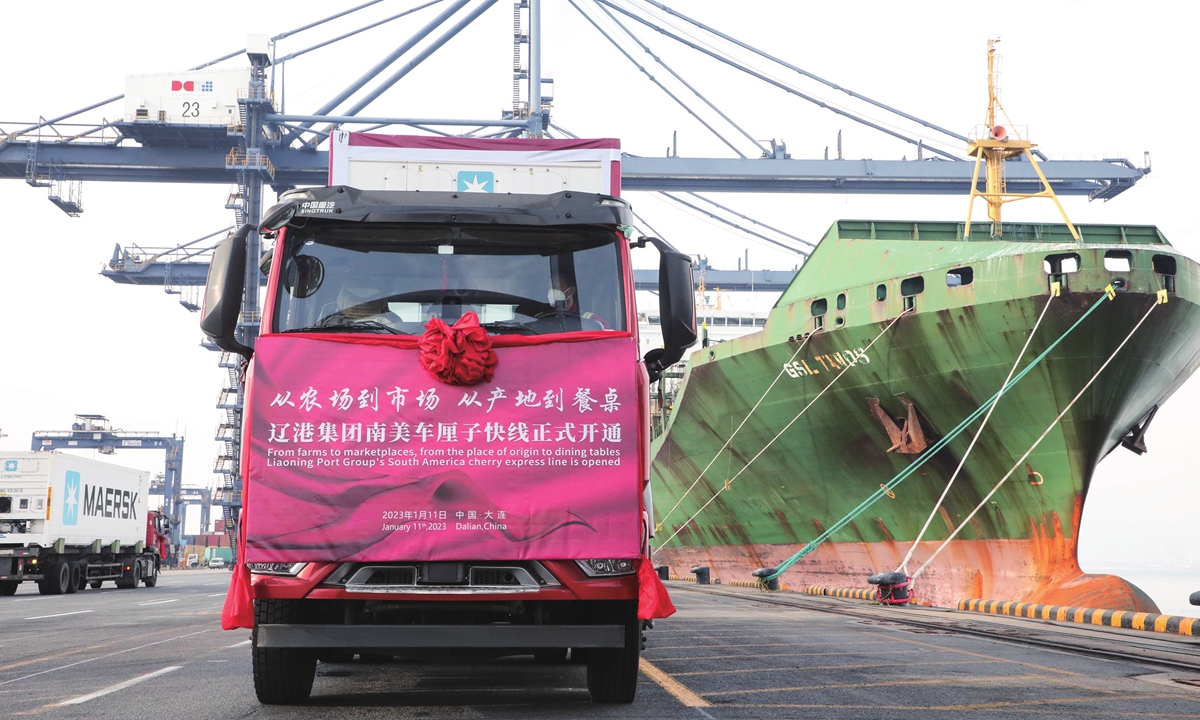 An express line for South American cherries run by Liaoning Port Group opens in Northeast China's Liaoning Province on January 11, 2023. The new line will carry Chilean cherries directly to Dalian port, providing for customers in Northeast China, North China, Japan, Korea and other Northeast Asian regions. Photo: cnsphoto