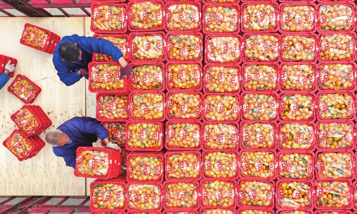 Workers load tangerines onto a truck at an organic farm in Ji'an, East China's Jiangxi Province on January 12, 2023. Sales of tangerines and other goods are surging as Chinese consumers prepare for the upcoming Spring Festival, which falls on January 22 this year. Photo: cnsphoto