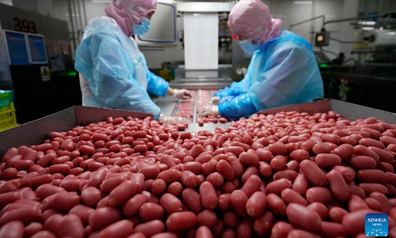 Employees work in a sausage factory in Yutian County, Tangshan City, north China's Hebei Province, Jan. 12, 2023. The food processing enterprises in Yutian ramped up production to meet the market demands for the upcoming Chinese Lunar New Year.(Photo: Xinhua)