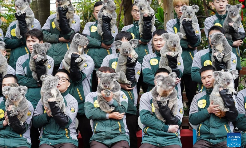 Breeders pose for a group photo with koalas from a family with seven generations at the Chimelong Safari Park in Guangzhou, south China's Guangdong Province, Jan. 17, 2023. The total of 66 koalas from a family in seven generations living at the park made a public appearance to greet their fans before the Spring Festival.(Photo: Xinhua)