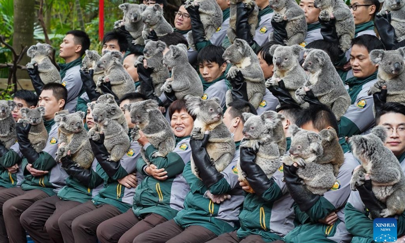 Breeders pose for a group photo with koalas from a family with seven generations at the Chimelong Safari Park in Guangzhou, south China's Guangdong Province, Jan. 17, 2023. The total of 66 koalas from a family in seven generations living at the park made a public appearance to greet their fans before the Spring Festival.(Photo: Xinhua)