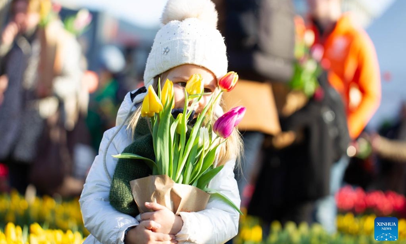 A girl holds a bunch of tulips at a picking garden on the Museum Square in Amsterdam, the Netherlands, Jan. 21, 2023. The Dutch celebrated the National Tulip Day on Saturday, which is traditionally marked on the third Saturday of the year. (Photo by Sylvia Lederer/Xinhua)