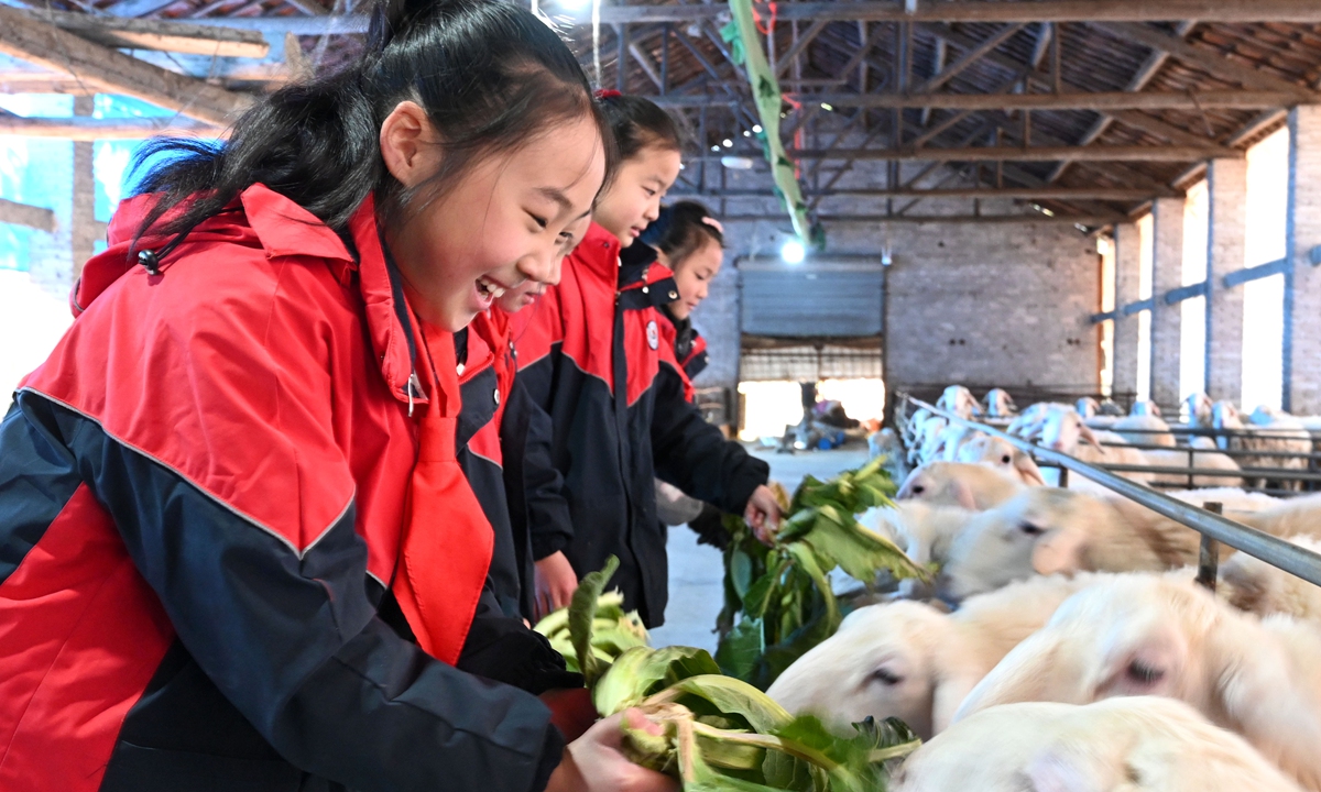 Children feed sheep at a farm in Jinhua
city, East China's Zhejiang Province, on January 29, 2023. During the winter
vacation, students come to farms to participate in extracurricular activities and
learn about animal breeding. Photo: VCG