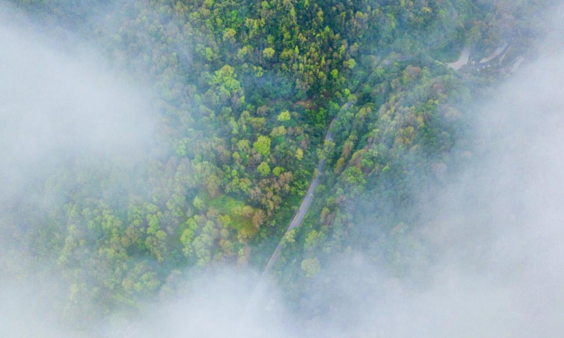 This aerial photo taken on Jan. 27, 2023 shows the Wuzhishan section of the Hainan Tropical Rainforest National Park in Wuzhishan City, south China's Hainan Province.(Photo: Xinhua)