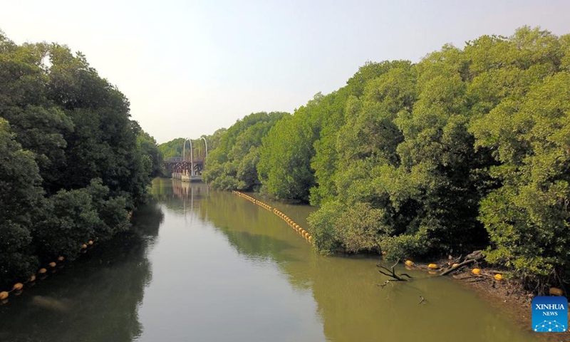 This aerial photo taken on Feb. 2, 2023 shows a mangrove wetland in Rayong, Thailand. The mangrove wetland in Rayong covers an area of about 80 hectares. February 2 marks World Wetlands Day. This year's theme of World Wetlands Day is It's Time for Wetlands Restoration, highlighting the urgent need to prioritize wetland restoration.(Photo: Xinhua)