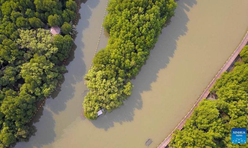 This aerial photo taken on Feb. 2, 2023 shows a mangrove wetland in Rayong, Thailand. The mangrove wetland in Rayong covers an area of about 80 hectares. February 2 marks World Wetlands Day. This year's theme of World Wetlands Day is It's Time for Wetlands Restoration, highlighting the urgent need to prioritize wetland restoration.(Photo: Xinhua)