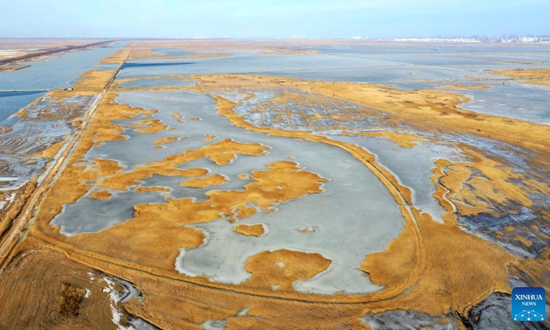 This aerial photo taken on Feb. 1, 2023 shows the view of Beidagang Wetland in north China's Tianjin.(Photo: Xinhua)