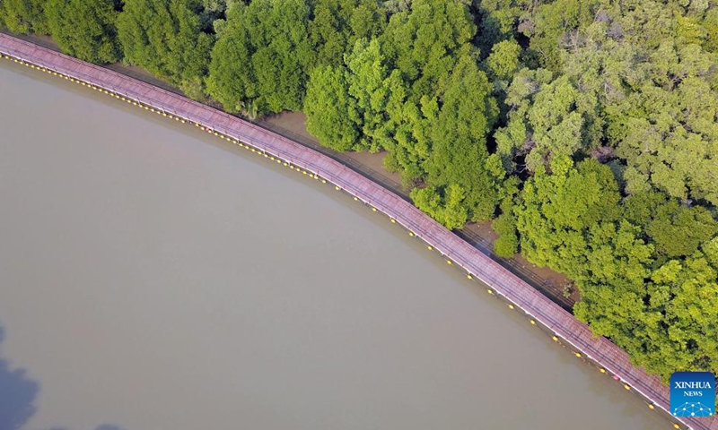 This aerial photo taken on Feb. 2, 2023 shows a mangrove wetland in Rayong, Thailand. The mangrove wetland in Rayong covers an area of about 80 hectares. February 2 marks World Wetlands Day. This year's theme of World Wetlands Day is It's Time for Wetlands Restoration, highlighting the urgent need to prioritize wetland restoration.(Photo: Xinhua)