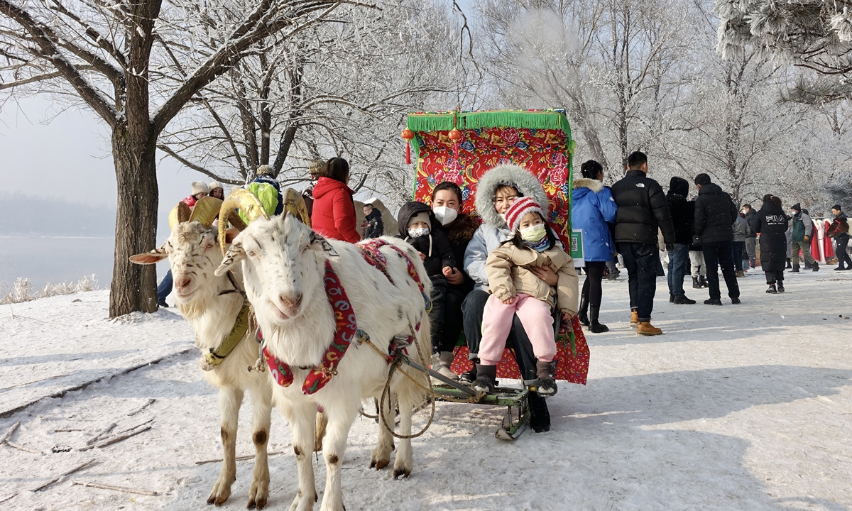 Visitors ride on a goat-drawn sled embellished with charac-teristic printings of Northeast China under frost-covered trees near the Songhua River in Jilin city, Northeast China's Jilin Province, on February 6, 2023. Photo: Lin Xiaoyi/Global Times