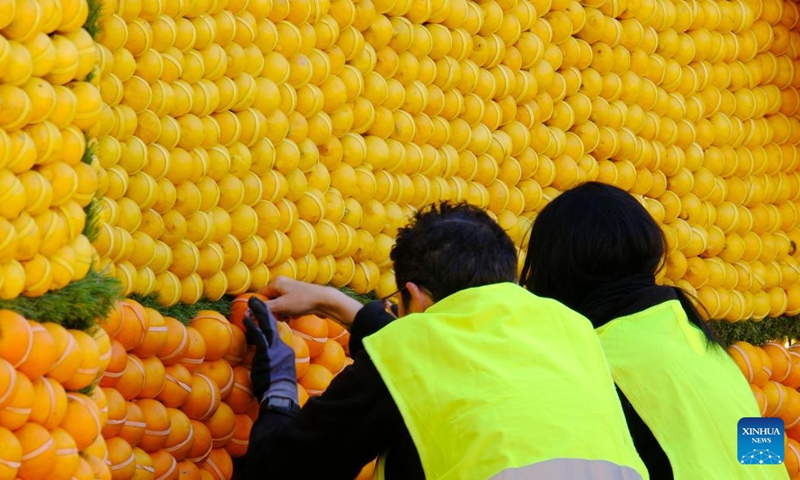People decorate an installation with lemons and oranges during preparations for the Lemon festival themed Rock and Opera in Menton, France, on Feb. 9, 2023. The 2023 Menton Lemon festival will be held from Feb. 11 to Feb. 26.(Photo: Xinhua)