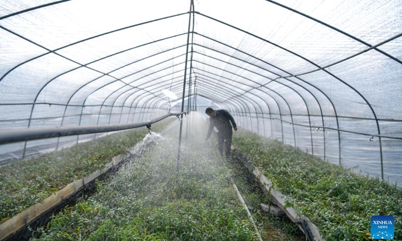 A worker waters seedlings using an automatic sprinkler system at a seedling breeding base in Guandong Township of Congjiang County in Qiandongnan Miao and Dong Autonomous Prefecture, southwest China's Guizhou Province, Feb. 14, 2023. Spring ploughing and seedling raising have started in Qiandongnan Miao and Dong Autonomous Prefecture recently as temperature gradually rises.(Photo: Xinhua)