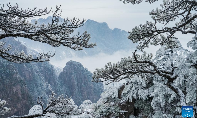 This photo taken on Feb. 14, 2023 shows the rime scenery on the Huangshan Mountain, east China's Anhui Province. Rime scenery appeared on the Huangshan Mountain Tuesday after a sudden drop of air temperature.(Photo: Xinhua)