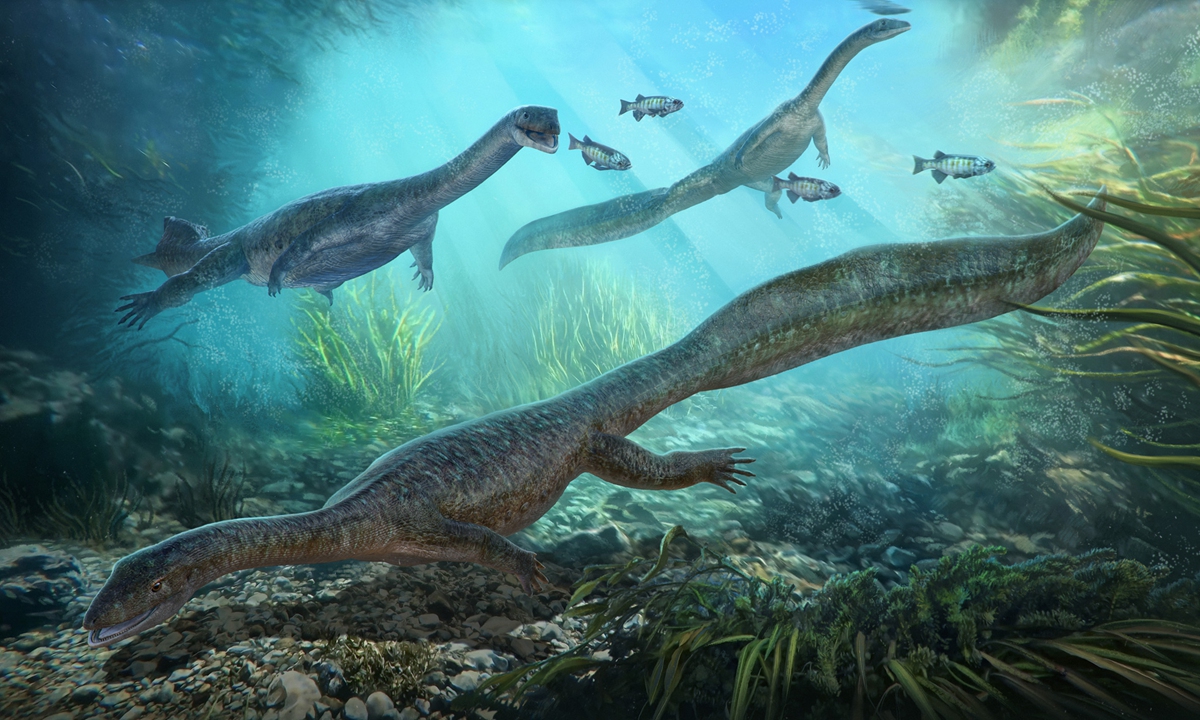 A restoration map of Hyphalosaurus lingyuanensis Photo: Courtesy of Xing Lida