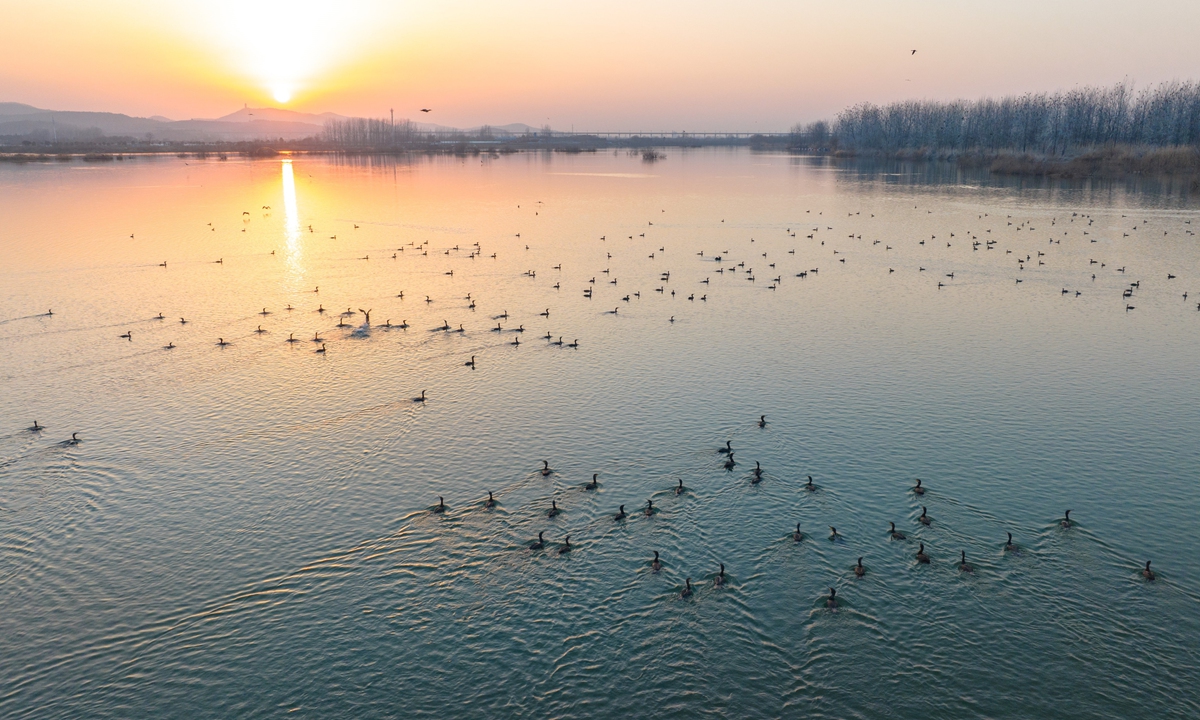 A photo of the Hanjiang River Photo: IC