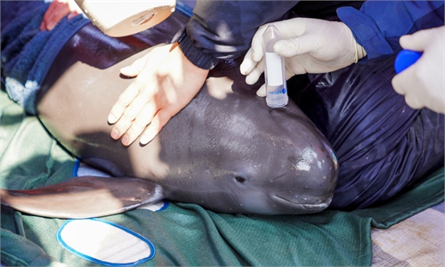 Finding safety Finding safety