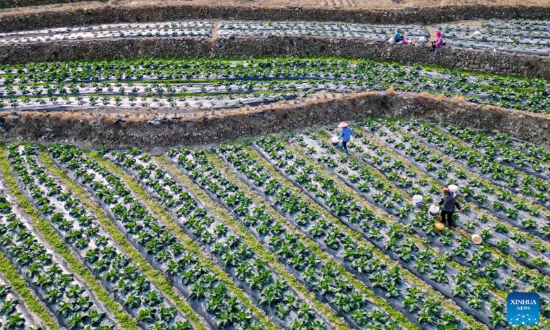 This aerial photo shows farmers working in the fields at Shangpilin Village of Congjiang County, southwest China's Guizhou Province, Feb. 15, 2023.(Photo: Xinhua)