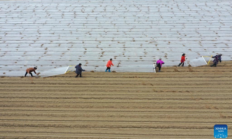 This aerial photo shows farmers working in the fields at Shangpilin Village of Congjiang County, southwest China's Guizhou Province, Feb. 15, 2023.(Photo: Xinhua)