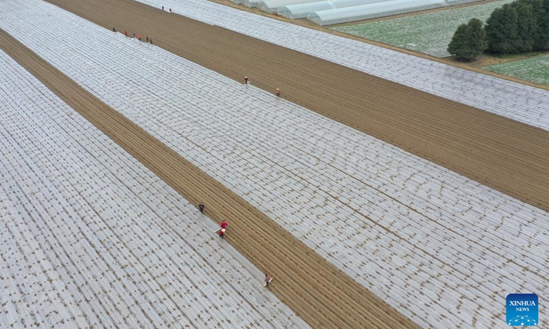 This aerial photo shows farmers working in the fields at Shangpilin Village of Congjiang County, southwest China's Guizhou Province, Feb. 15, 2023.(Photo: Xinhua)
