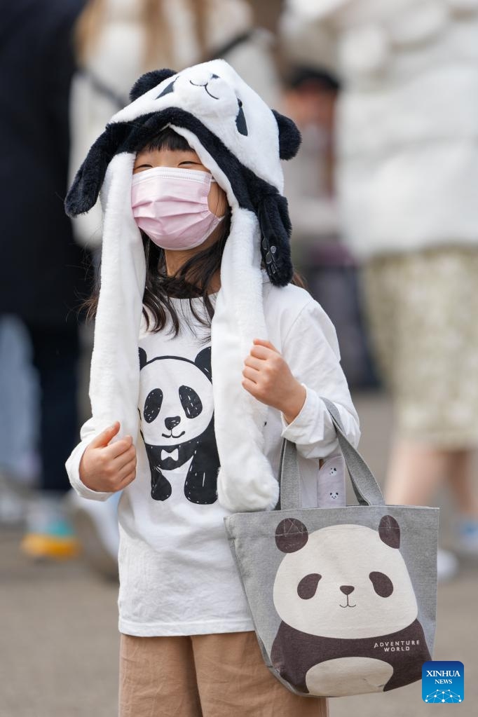 A child dressed in costume featuring panda elements visits Ueno Zoological Gardens in Tokyo, Japan, Feb. 19, 2023.Photo: Xinhua