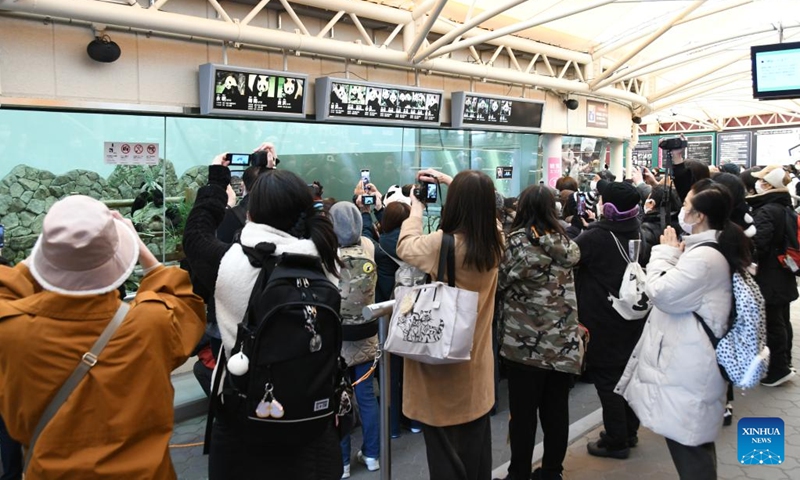 Visitors take photos of giant panda Eimei at Adventure World in Shirahama, Wakayama prefecture, Japan, Feb. 21, 2023. The 30-year-old male panda Eimei, along with his eight-year-old Japan-born twin daughters Ouhin and Touhin, has left their current home at Adventure World, a theme park in the town of Shirahama to fly back to China on Wednesday.(Photo: Xinhua)