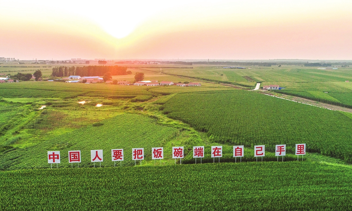 Main: A view of a demonstration zone for green food production base in Lishu county, Siping, Jilin Province with signboards that read 