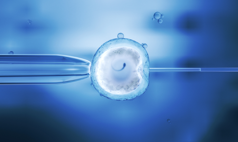 IVF Photo: VCG