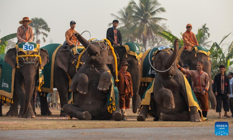 Elephants perform at the Elephant Festival in Xayaboury, Laos, on Feb. 20, 2023.(Photo: Xinhua)