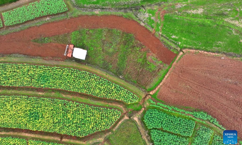 This aerial photo taken on Feb. 19, 2023 shows a farmer driving an agricultural machinery to plow the field in Qidong County in Hengyang, central China's Hunan Province. In early spring, as temperatures gradually rise, farmers across the country are actively engaged in spring ploughing and preparations for farming activities.(Photo: Xinhua)