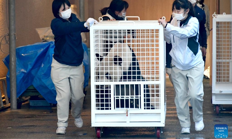 Staff members transfer giant panda Eimei at Adventure World in Shirahama, Wakayama prefecture, Japan, Feb. 22, 2023. The 30-year-old male panda Eimei, along with his eight-year-old Japan-born twin daughters Ouhin and Touhin, has left their current home at Adventure World, a theme park in the town of Shirahama to fly back to China on Wednesday.(Photo: Xinhua)