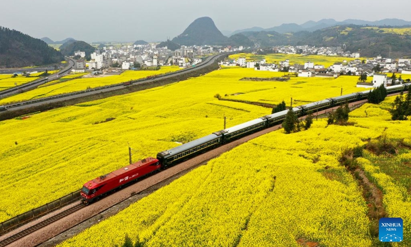 This aerial photo taken on Feb. 27, 2023 shows a train running through a cole flower field in Luoping County of Qujing City, southwest China's Yunnan Province.(Photo: Xinhua)