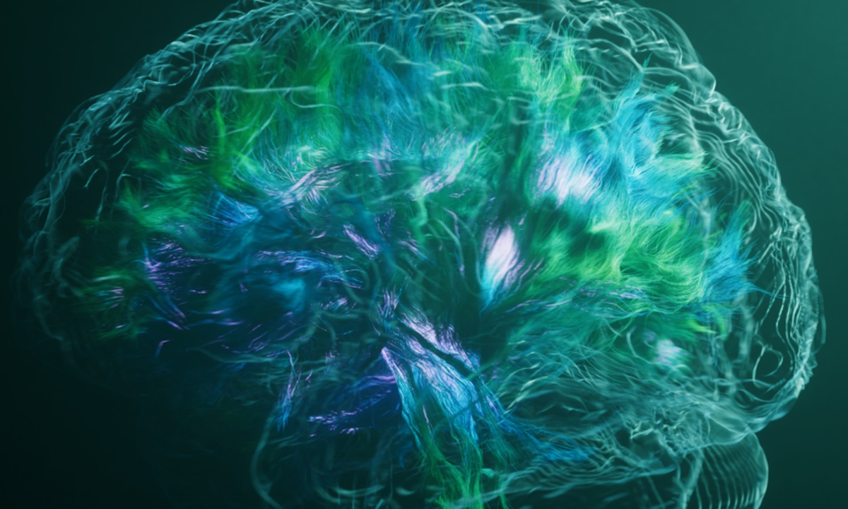 An image of the human brain created by the imMed team Photo: Courtesy of imMed