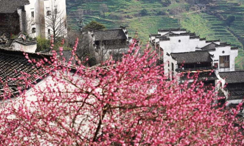 This photo taken on March 2, 2023 shows a view of Huangling scenic spot in Wuyuan County, east China's Jiangxi Province. Spring scenery in Wuyuan attracts lots of visitors with the rising of temperature. (Xinhua/Wan Xiang)