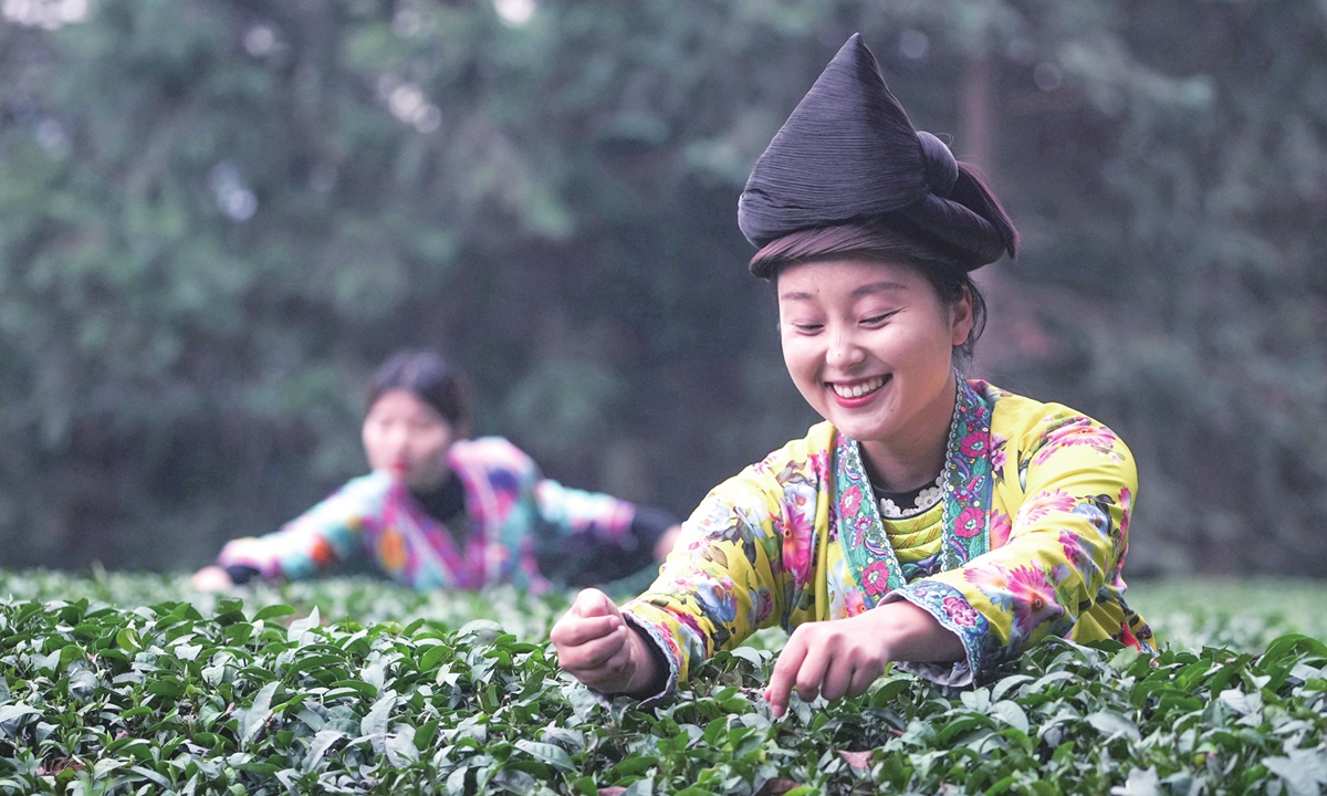 In the warmer weather, villagers from Rongshui Miao autonomous county, South China's Guangxi Zhuang Autonomous Region, are busy picking tea leaves in more than 485.6-hectare tea garden to supply the market on March 7, 2023. Photo: IC
