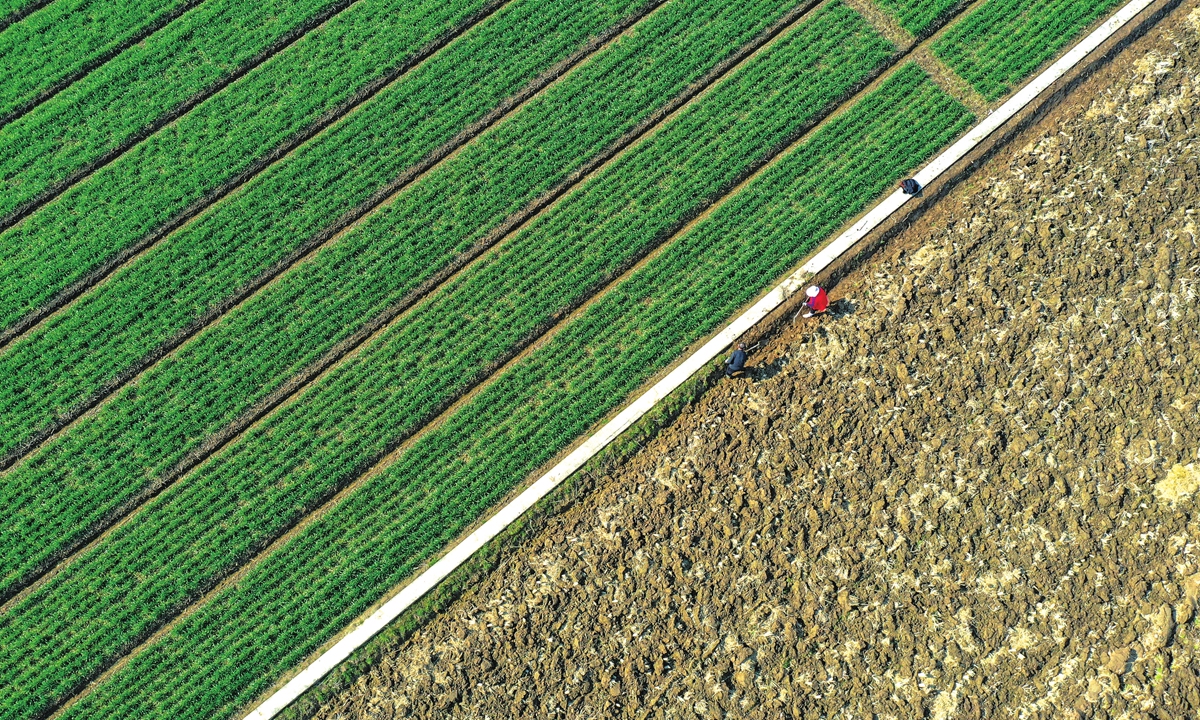 Farmers from the Lixiahe Institute of Agricultural Sciences of Yangzhou Academy of Agricultural Sciences plow and manage the experimental fields in Yangzhou of East China's Jiangsu Province on February 20, 2023. Photo: VCG