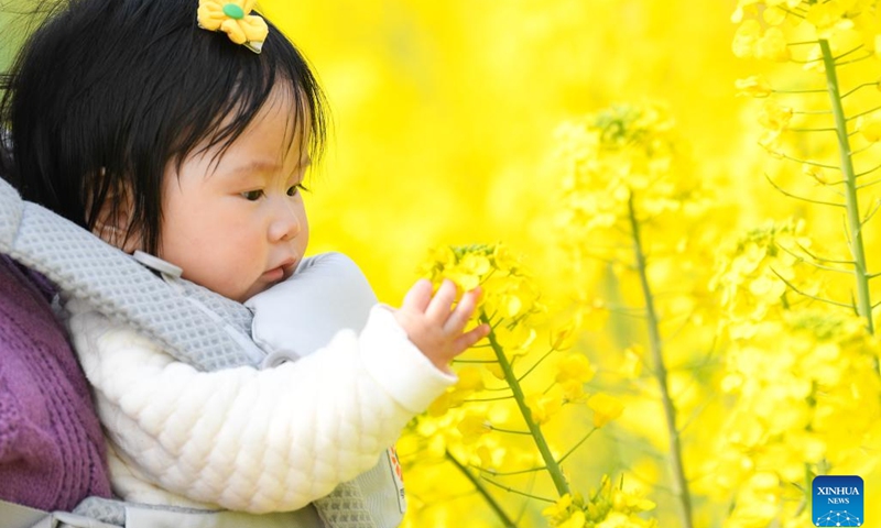 A young tourist looks at flowers in a cole flower field in Daoming Town of Chongzhou, southwest China's Sichuan Province, March 5, 2023.(Photo: Xinhua)