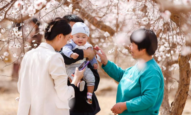 A family visit an apricot blossom festival in Toksun County of Turpan, northwest China's Xinjiang Uygur Autonomous Region, March 18, 2023. The Turpan apricot blossom festival kicked off here Saturday. (Xinhua/Hao Zhao)