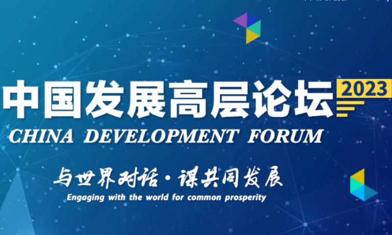 Photo: Screenshot of the website of The China Development Forum