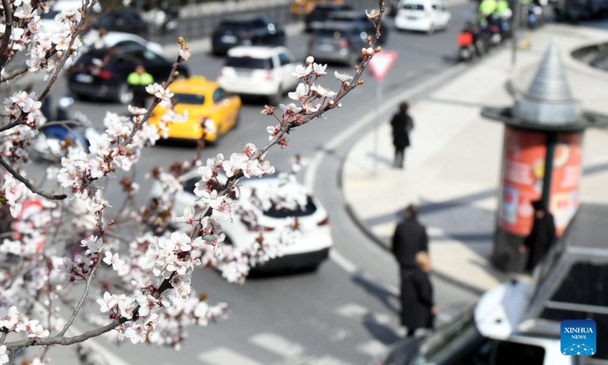 Blooming flowers are seen near a street in Istanbul, Türkiye, March 15, 2023. Photo:Xinhua