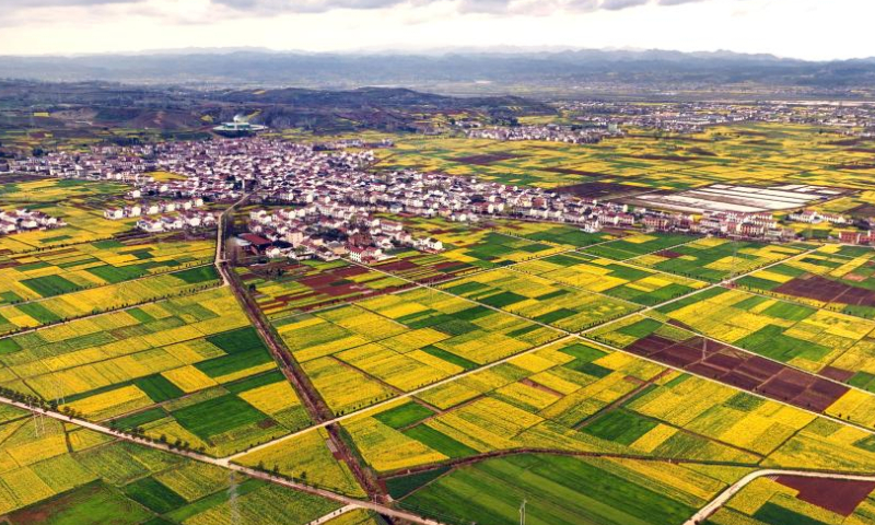 This aerial photo taken on March 16, 2023 shows cole flower fields in Yangxian County of Hanzhong City, northwest China's Shaanxi Province. As the temperature gradually rises, the cole flowers in full bloom have attracted many tourists to Hanzhong. In recent years, the rural revitalization of Hanzhong has been greatly promoted by the development of ecological agriculture and tourism. (Photo by Zou Jingyi/Xinhua)