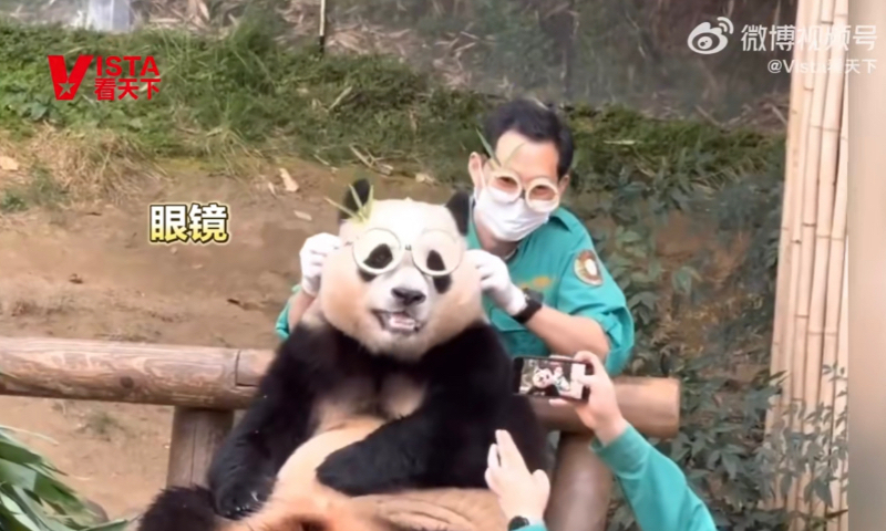 Giant panda Fu Bao Photo: A screenshot from Sina Weibo account of Vista 