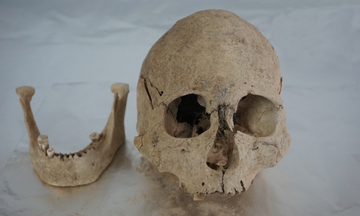 A skull and a jawbone dated back to 4,500 years ago unearthed from the Zongri site in the Gonghe Basin of Northwest China’s Qinghai Province on the Qinghai-Tibet Plateau Photo: Courtesy of the research team