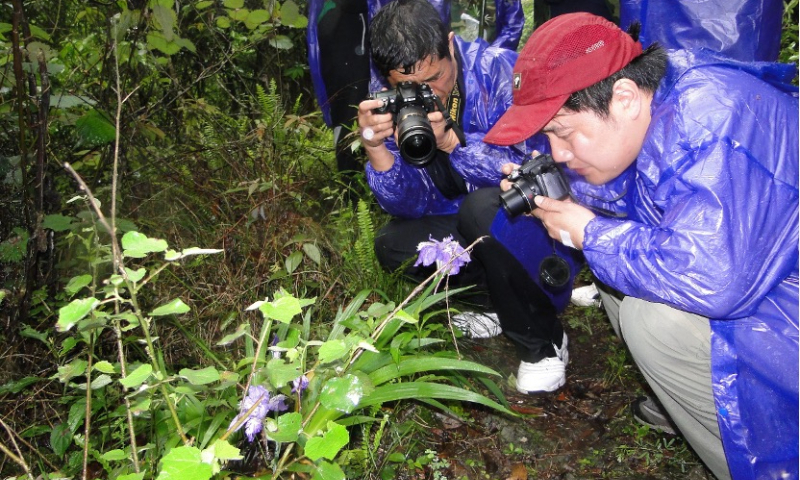 A survey in the rain Photo: Courtesy of Ran Jingcheng