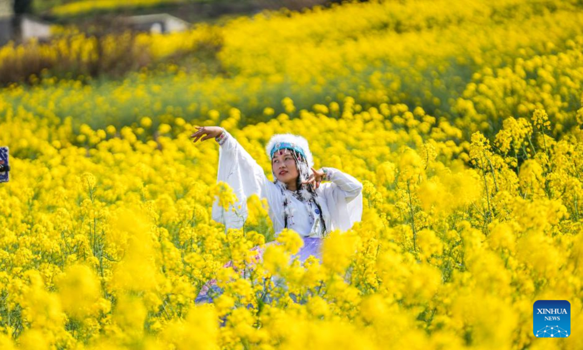 A live streamer dances in a cole flower field in Wayao Village of Mugang Town, Liuzhi Special District, Liupanshui, southwest China's Guizhou Province, March 9, 2023. Photo:Xinhua