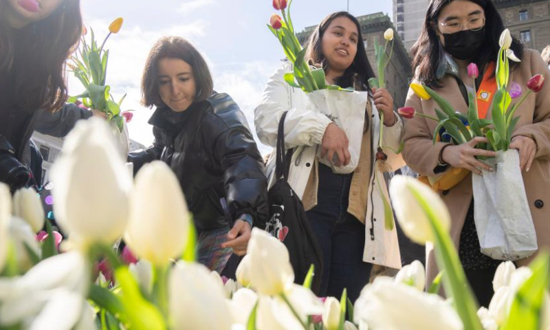 People select tulips at a tulip show in celebration of the upcoming International Women's Day in Los Angeles, the United States, March 4, 2023. (Photo by Li Jianguo/Xinhua)