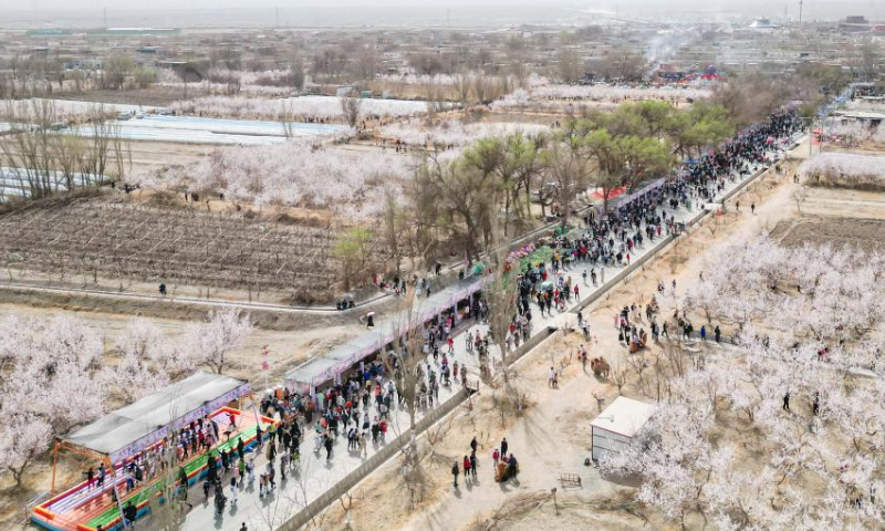 This aerial photo taken on March 18, 2023 shows people visiting an apricot blossom festival in Toksun County of Turpan, northwest China's Xinjiang Uygur Autonomous Region. The Turpan apricot blossom festival kicked off here Saturday. (Xinhua/Hao Zhao)