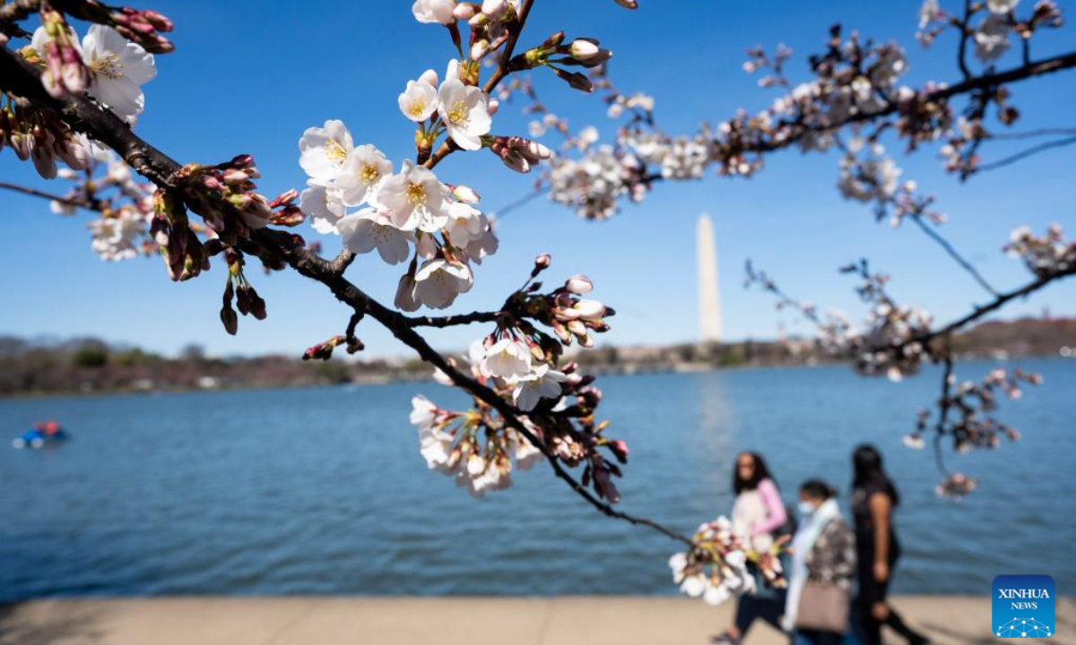 People walk past cherry blossoms at the Tidal Basin in Washington, DC, the United States, on March 16, 2023. Photo:Xinhua