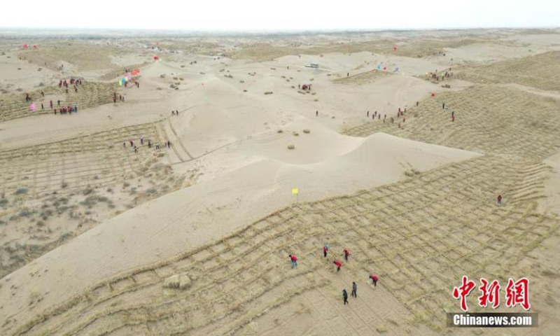 Locals make straw checkerboard sand barriers to combat desertification in Wuwei, northwest China's Gansu Province, March 2, 2023. Gansu has taken effective measures in fighting against desertification. (Photo/China News Service)