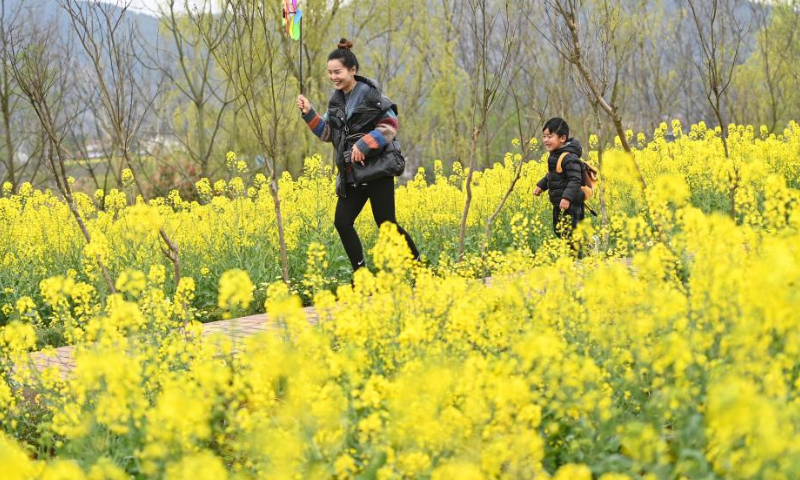 Tourists have fun in cole flower fields in Hanzhong City, northwest China's Shaanxi Province, March 18, 2023. As the temperature gradually rises, the cole flowers in full bloom have attracted many tourists to Hanzhong. In recent years, the rural revitalization of Hanzhong has been greatly promoted by the development of ecological agriculture and tourism. (Photo by Zou Jingyi/Xinhua)
